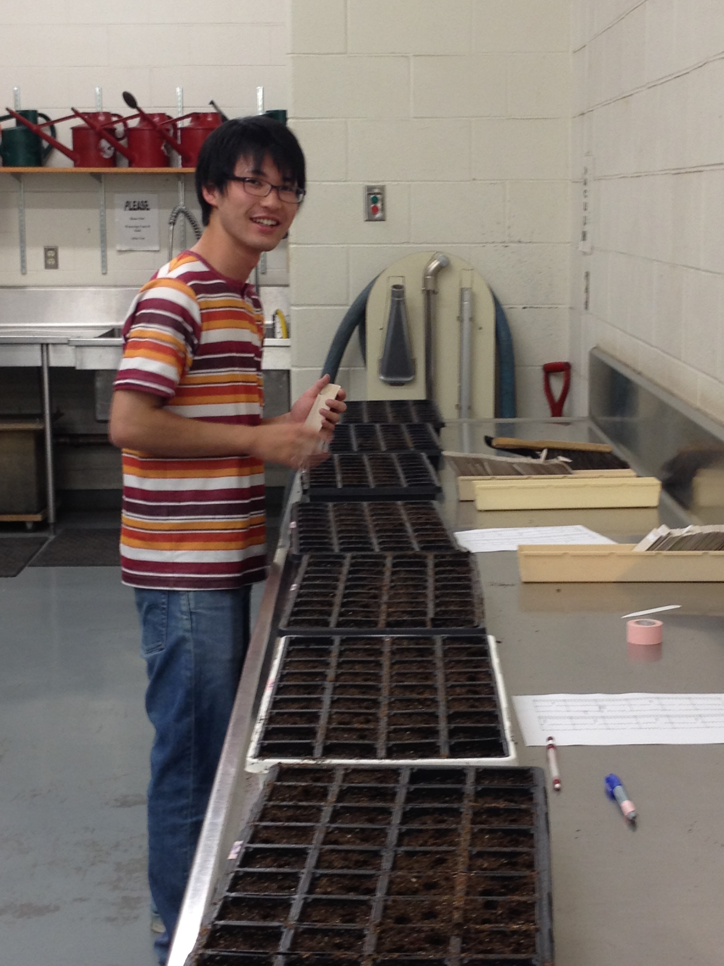 Teruki filling seed trays